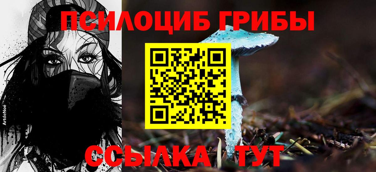 Галлюциногенные грибы прущие грибы Котлас