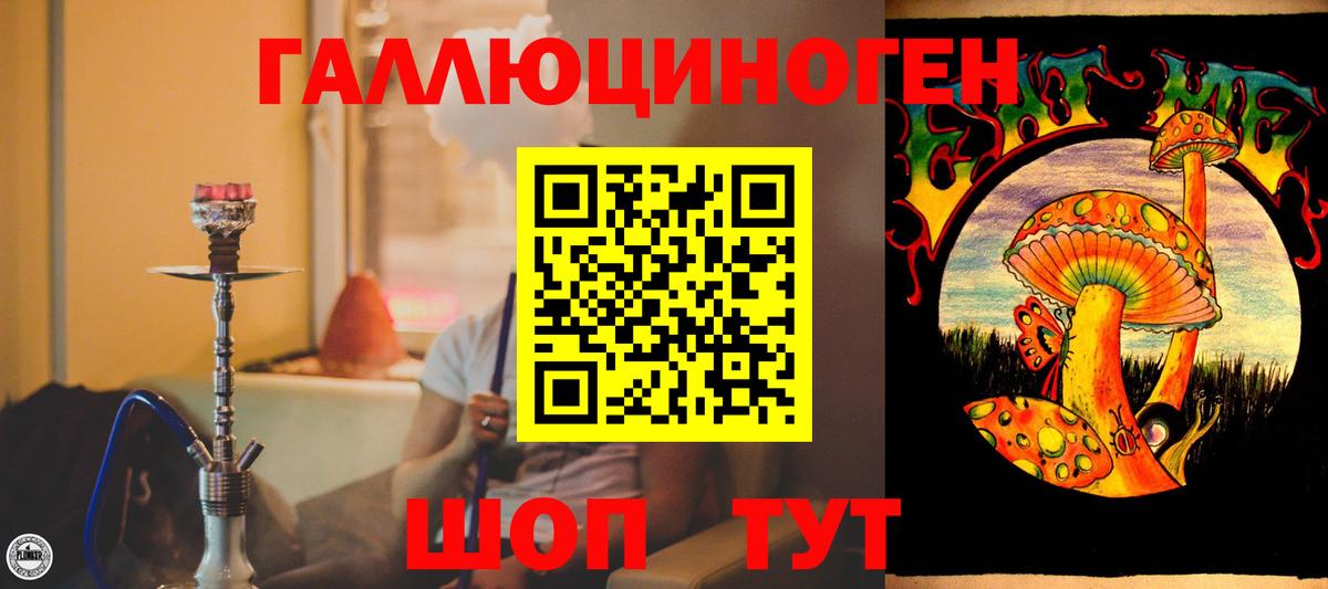 Котлас  Галлюциногенные грибы прущие грибы  Вход с VPN 